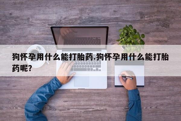 私人卖打胎药微信微信誉好的商家！狗怀孕用什么能打胎药.狗怀孕用什么能打胎药呢？