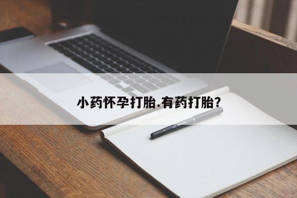 私人卖打胎药微信微信誉好的商家！小药怀孕打胎.有药打胎？