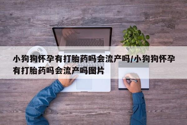 私人卖打胎药微信微信誉好的商家！小狗狗怀孕有打胎药吗会流产吗/小狗狗怀孕有打胎药吗会流产吗图片
