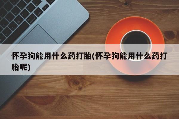 私人卖打胎药微信微信誉好的商家！怀孕狗能用什么药打胎(怀孕狗能用什么药打胎呢)