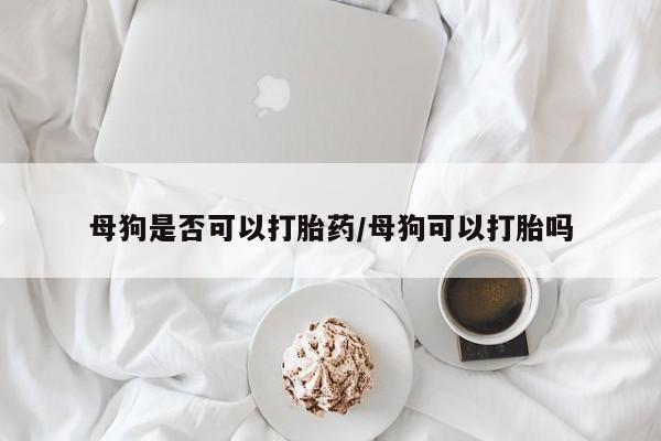 私人卖打胎药微信微信誉好的商家！母狗是否可以打胎药/母狗可以打胎吗