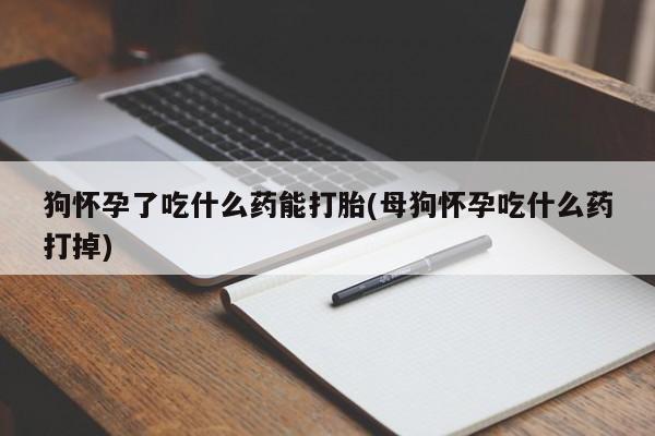 私人卖打胎药微信微信誉好的商家！狗怀孕了吃什么药能打胎(母狗怀孕吃什么药打掉)
